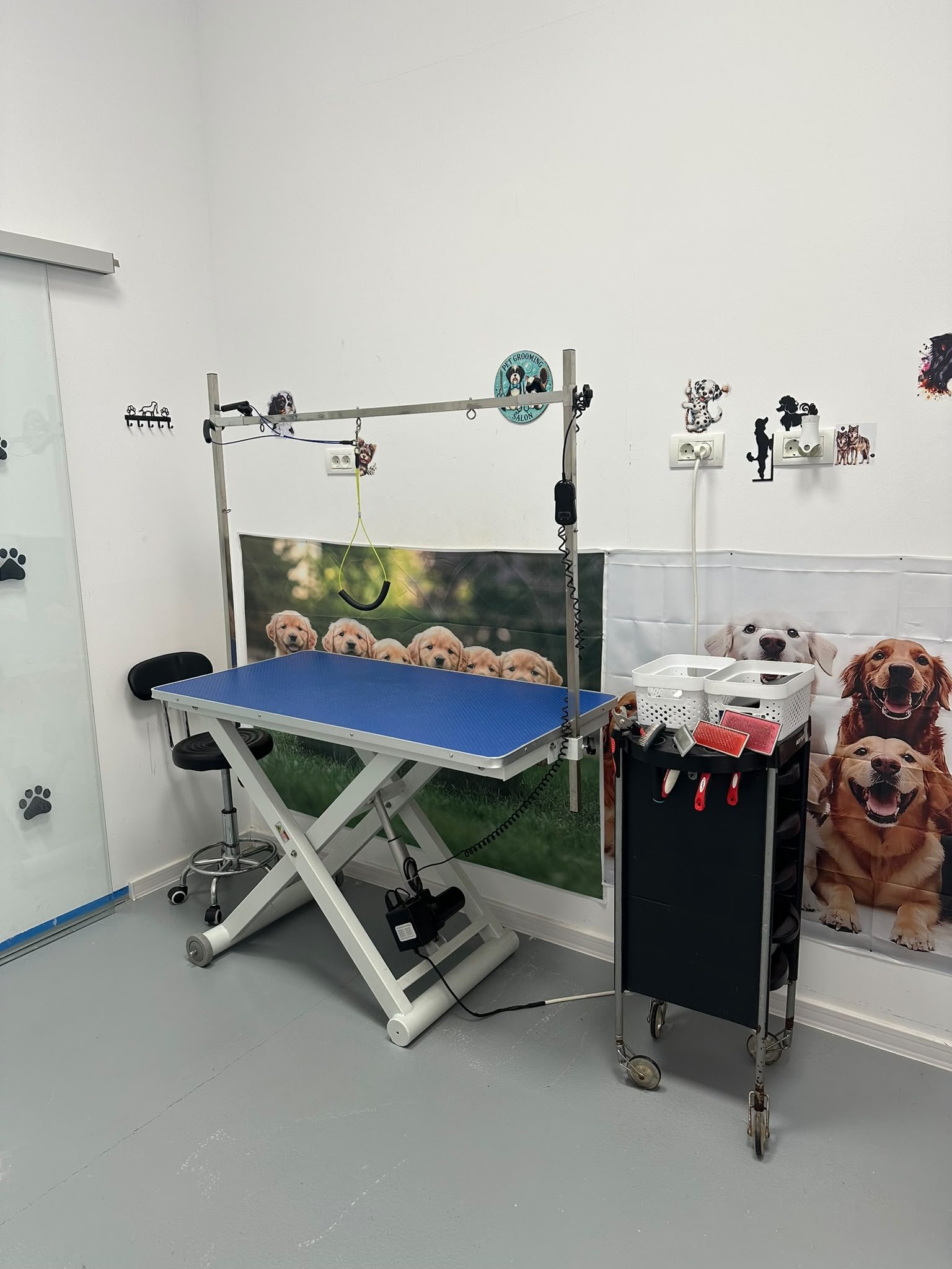 Salonul Parmen Auriu și instrumentele de grooming